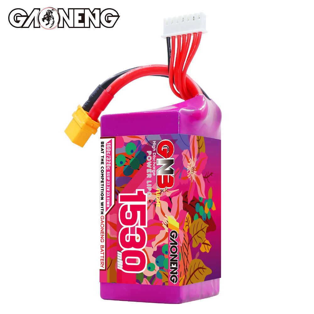 Battery GNB GAONENG 1530mah 6S1P 22.2V 160C XH-JST 7P XT60