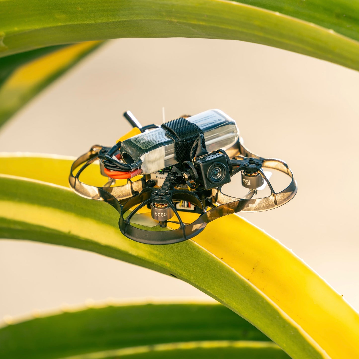 FPV Drone NewBeeDrone AcroBee75 HD O4 Pusher BNF ELRS 2.4G