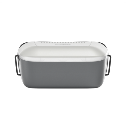 Walksnail Ascent Goggle